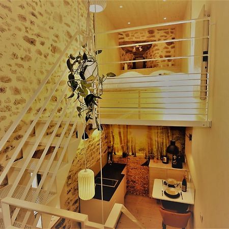 Au Vingtain - Appartement & Spa Atypique Brindas Kültér fotó